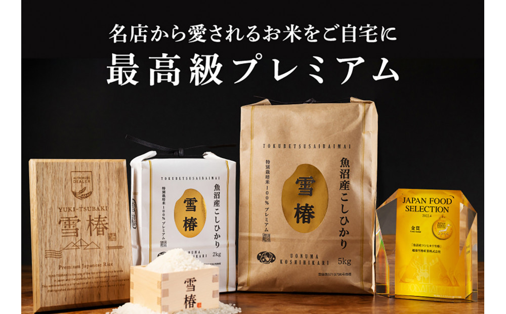 【定期便 3ヶ月】【令和7年産】魚沼産コシヒカリ 雪椿 10kg(5kg×2袋) × 3回 特別栽培米