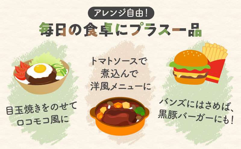 鹿児島県産黒豚ミニハンバーグ 12パック　K356-004