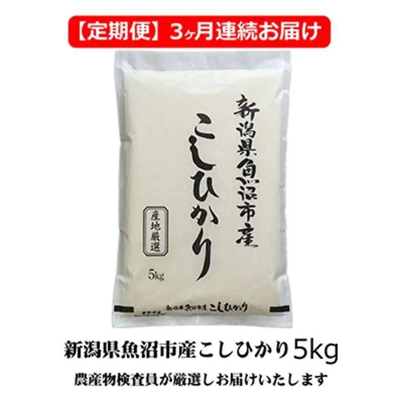 農産物検査員お奨め 魚沼産こしひかり（精米）5kg 3ヶ月連続お届け お米 コシヒカリ 