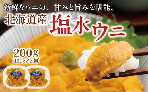 塩水ウニ 100g×2個 ふるさと納税 人気 おすすめ ランキング うに ウニ 雲丹 ムラサキウニ バフンウニ 生鮮 無添加 魚介類 塩水 生食 北海道 松前町 送料無料 MATM008