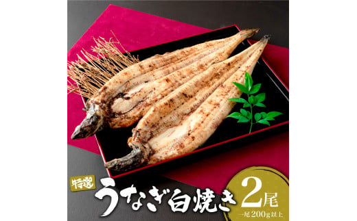 うなぎ白焼き 400g (200g×2尾)