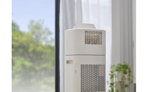 サーキュレーター サーキュレーター衣類乾燥除湿機 アイリスオーヤマ 5L アイボリー デシカント式 首振り 上下左右首振り 小型 扇風機 送風 小型送風機 除湿 部屋干し 家電 電化製品 オールシーズ