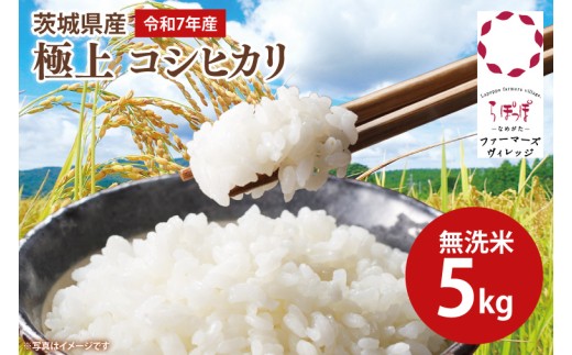 【数量限定】★令和7年産★人気の個包装でお届け！茨城県産 極上 コシヒカリ5kg(無洗米)｜米 お米 こしひかり コシヒカリ らぽっぽなめがたファーマーズヴィレッジ らぽっぽファーム 国産 産地直送 無洗米 ふっくら もっちり おかず ごはんのおとも(CQ-85-1)