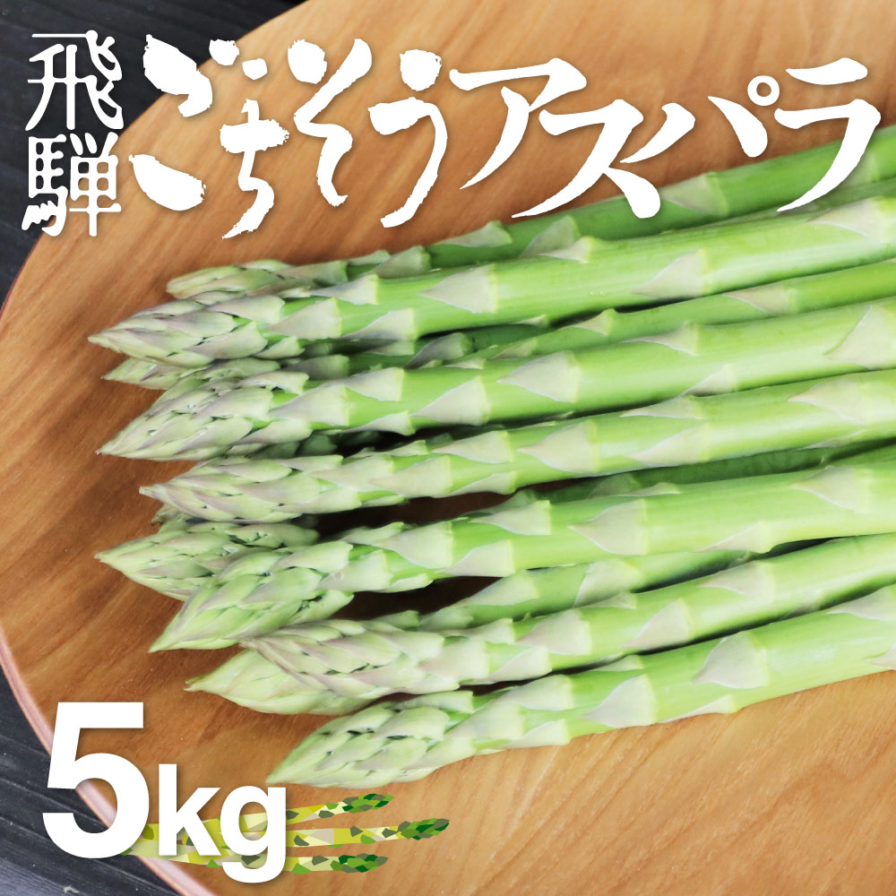 【ふるさと納税】根本までムシャムシャ食べれるアスパラ 水村農園 飛騨のきれいな水と澄んだ空気が育んだ柔らか甘いアスパラガス アスパラ アスパラガス L~2L 5kg 大容量 [F0035x] 56000円