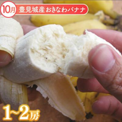 ふるさと納税 豊見城市 【発送月固定定期便】【2026年発送】沖縄フルーツ定期便(9・10・11月コース)全3回 |  | 02