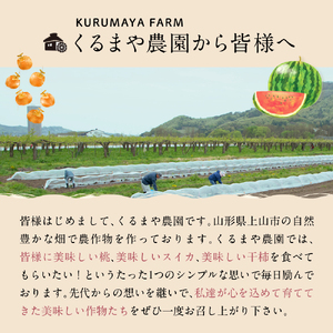 【フルーツ王国直送！】山形旬の桃　２ｋｇ（ゆうぞら、幸茜、白根白桃、紅錦香、他）いずれか１品種　0033-2515