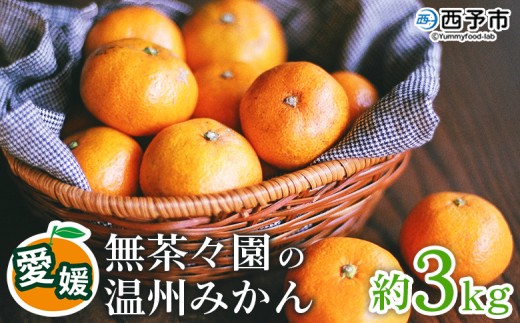 ＜無茶々園 温州みかん 約3kg＞【先行予約】 果物 くだもの ミカン 蜜柑 柑橘 フルーツ うんしゅうみかん 選べる内容量 贈り物 ギフト おいしい 期間限定 季節限定 食べて応援 特産品 愛媛県 西予市 【常温】