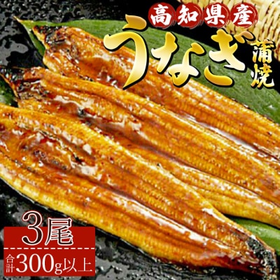 高知県産養殖うなぎ蒲焼 100～120g 3尾セット ss-0025