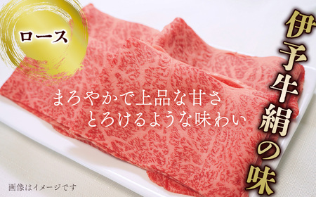 伊予牛絹の味 しゃぶしゃぶ用 ロース 500ｇ (冷凍) ｜ 黒毛和牛 A4～A5