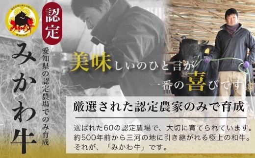 【みかわ牛】肉屋 厳選 極上部位 6種 660ｇ