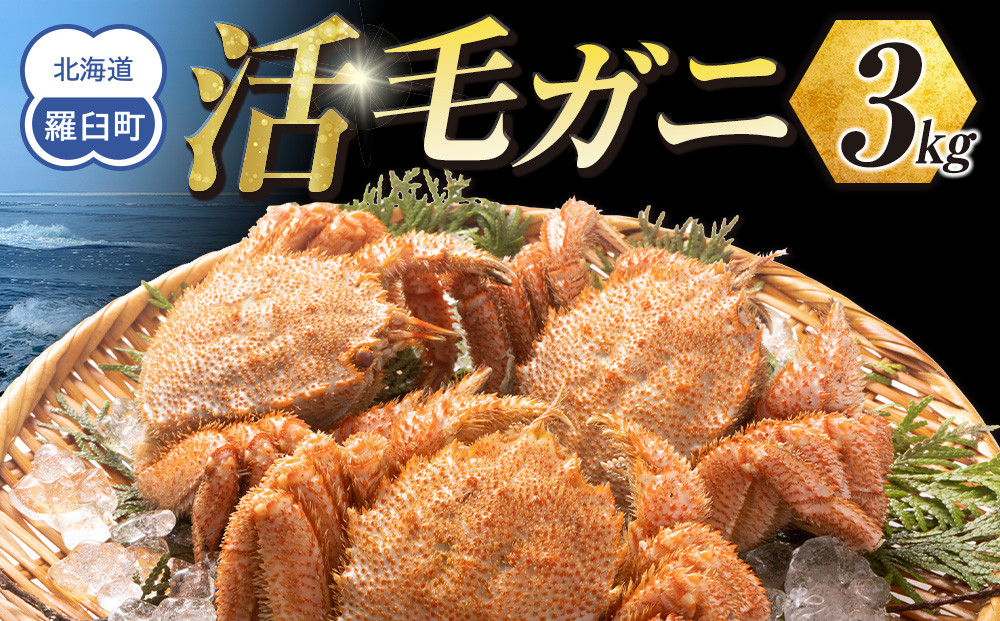 【先行予約】三特 冷蔵 活毛ガニ 3kg (300g～500g×6～9尾)(26年4月発送開始予定)