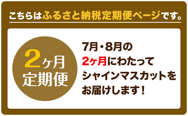 【2026年先行予約】ぶどう 2ヶ月 定期便 シャインマスカット 晴王 1.4kg（2房） 岡山県産《7月上旬-8月末頃出荷》 ハレノフルーツ マスカット 送料無料 岡山県 浅口市 フルーツ 果物 国
