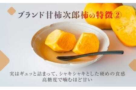 次郎柿 小箱 大玉 約9個 豊橋 柿