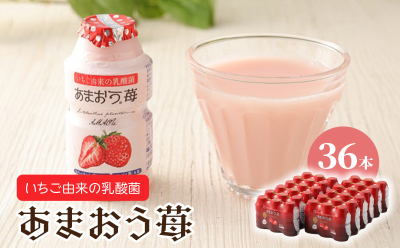 
            乳酸菌あまおう苺3P_乳酸菌 あまおう 苺 80ml × 3本 × 12P 計 36本 W 乳酸菌飲料 由来 動脈硬化 予防 脳卒中 心筋梗塞 リスク 低減 効果 元気 病気 腸活 ケア 腸内環境 整える 習慣 乳製品 飲料 いちご味 小分け 便利 お取り寄せ 福岡県 久留米市 送料無料_Fi018
          