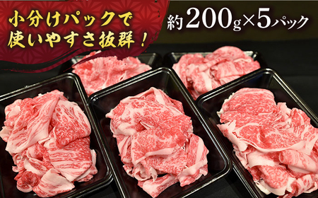 【A4-A5】 長崎和牛 特選切り落とし 約1kg（200g×5パック） 長与町/meat shop FUKU[ECS017]