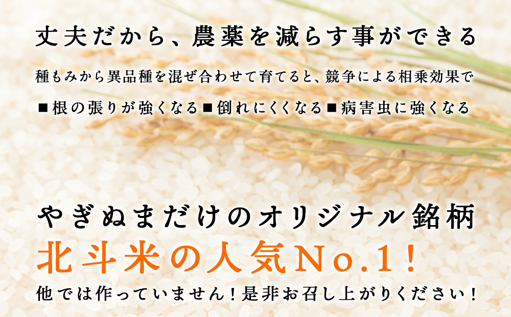 【定期便 6カ月】北斗米ゆきのつや30kg(5kg×6袋) お米 こめ 精米 白米 ごはん ブランド米 国産米 北海道産 東神楽町
