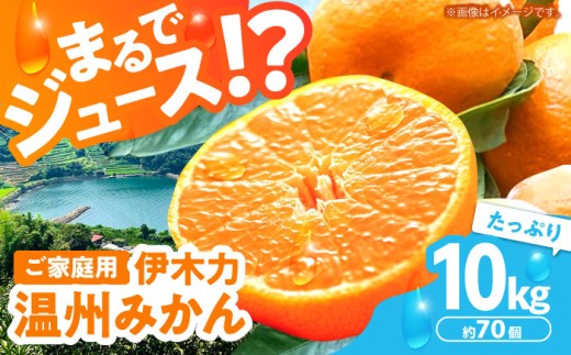 ※【2027年1月より順次発送／先行予約】伊木力温州みかん 10kg（ご家庭用）/ みかん ミカン 蜜柑 みかんジュース フルーツ 果物 / 諫早市 / 末永果樹園 [AHBD001]