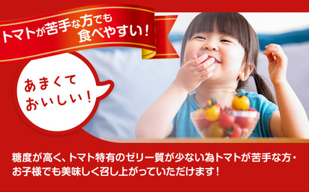 田村さん家のミニトマト約2kg【栃木県野木町産】田村農園《11月上旬-7月下旬に出荷予定(土日祝除く)》トマト ミニトマト 野菜 新鮮 リコピン ビタミン 美容