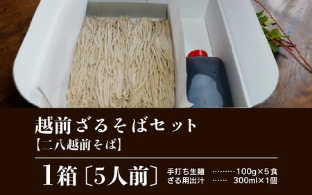 【先行予約】【年越しそば】【1月1日着】ざるそばセット 5人前 【到着日選べる】＜福井県産 最高級そば粉使用！＞／ 冷蔵 生麺 5食 二八 出汁付き 越前そば 年内発送 蕎麦 [aw073-a006_