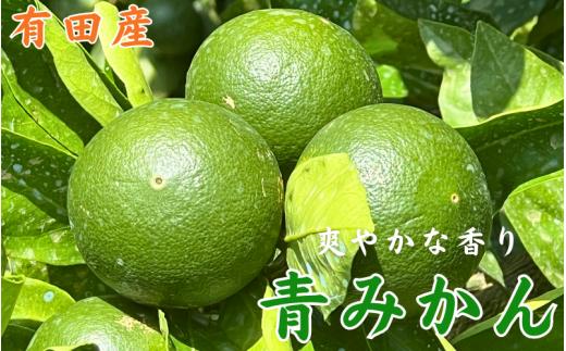頑固オヤジの 青切 みかん 3kg / 青みかん 酢みかん 訳あり 家庭用 和歌山 柑橘 ※7月下旬～9月中旬に順次発送予定 【krf001-c-3】
