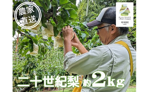 農家直送】桃沢農園のなし（二十世紀）　約２Kg