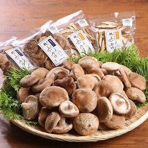 029-02 生・乾燥しいたけ(菌床)