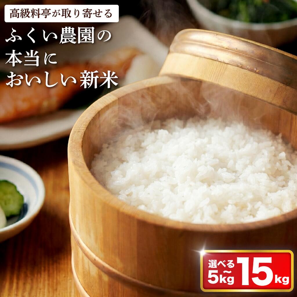 【ふるさと納税】 令和7年産 新米 コシヒカリ15kg 10kg 5kg ヒノヒカリ 米 ふるさと納税 お米 ふるさと納税米 ふるさと 米 5kg ふるさと納税 新米 10kg R7 もち米 お米 こしひかり R7年産 精米 白米 人気ブランド 米 こめ 送料無料 数量限定 宿毛市 高知県