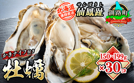 仙鳳趾名産 牡蠣 150～199g×30個+かきナイフ付K4-4【配送不可地域：離島・沖縄県・信越、北陸・東海・近畿・中国・四国・九州】【1294862】