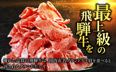 【飛騨牛】切落しスライス(250g×2) 和牛 焼肉 小分け 岐阜市/丸福商店[ANBO003]