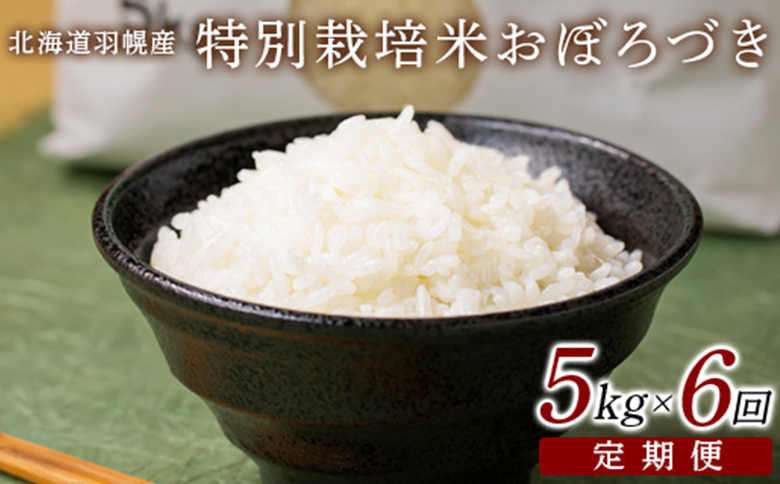 【2025年産】 【定期便：6回】 北海道羽幌産 特別栽培米 おぼろづき5kg ｜ 5キロ 計30kg 計30キロ 米  定期 6回 美味しいお米 強い粘り 安心 安全 北海道米 ふるさと納税 北海道 羽幌町 羽幌【0811402】