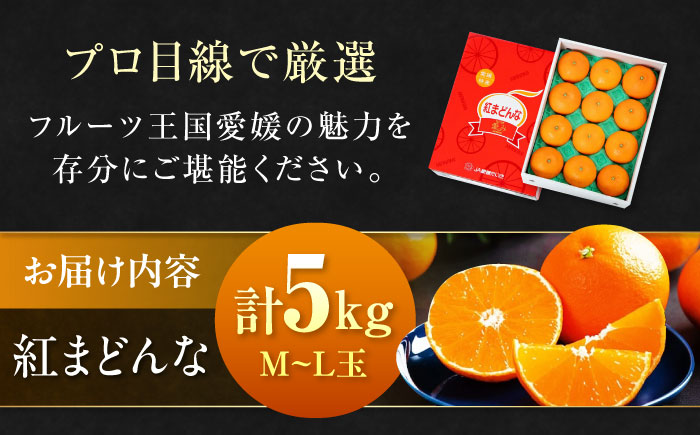 【先行予約】【12月上旬から順次発送】【期間・数量限定】愛媛限定栽培！ 紅まどんな M〜L玉サイズ 家庭用約5kg箱（24玉〜30玉） 果物 フルーツ みかん ミカン まどんな 愛媛県大洲市/愛媛たい
