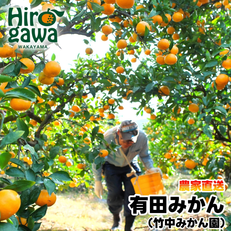 
            ▼早生みかん 5kg　（11月末までの予約特別価格）（サイズ混合） ※12月～1月順次発送予定 【tkn004-wr-5-11】
          