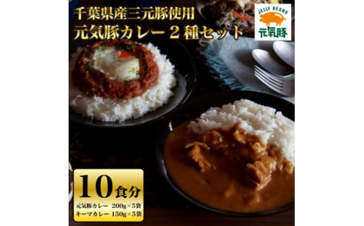 
元気豚カレー2種セット(元気豚カレー 5P、キーマカレー 5P　計10食分)＜保存食・備蓄・ギフト＞【1380518】
