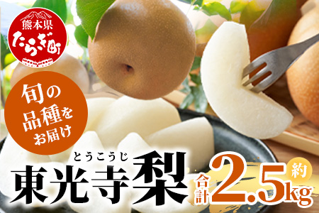 先行予約【2025年7月下旬～発送分】東光寺 梨 2.5kg (5～7玉)  完熟 なし フルーツ 果物 夏 旬 幸水 豊水 秋月 新高 新興 シャリシャリ