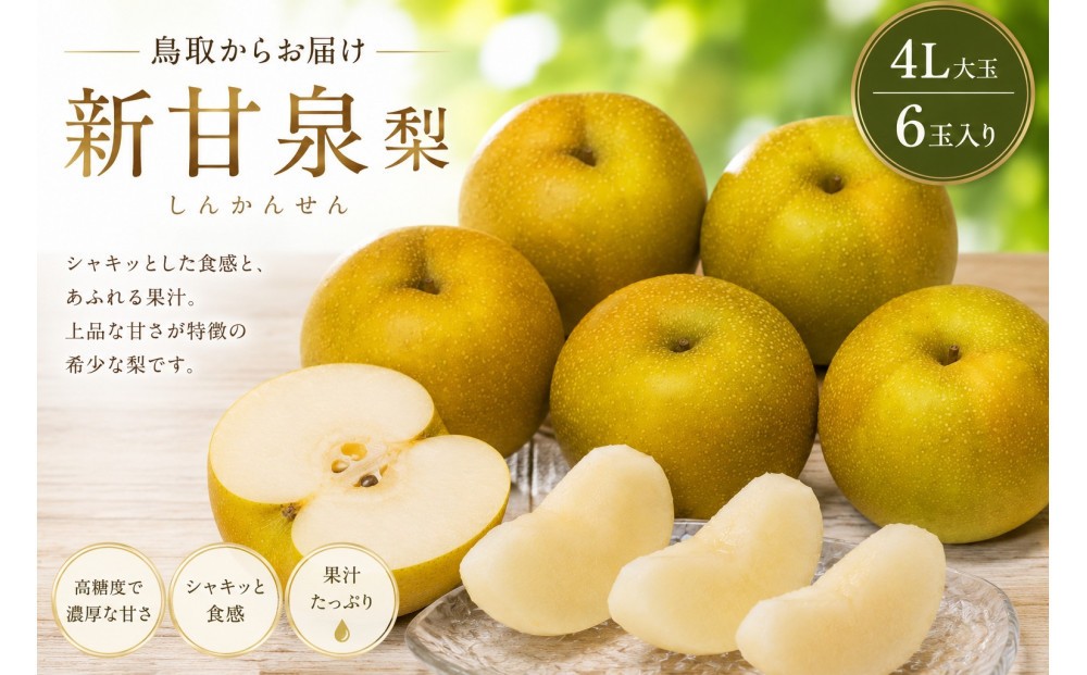 
                  【先行予約】鳥取県産 新甘泉 梨 4Lサイズ 6玉 大玉  しんかんせん なし フルーツ 果物 鳥取オリジナル
                