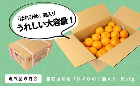 はれひめ（ミカンの希少種） 秀品  約5ｋｇ（25個～30個入）【先行予約】【2024年12月中旬頃から発送】【KG3】