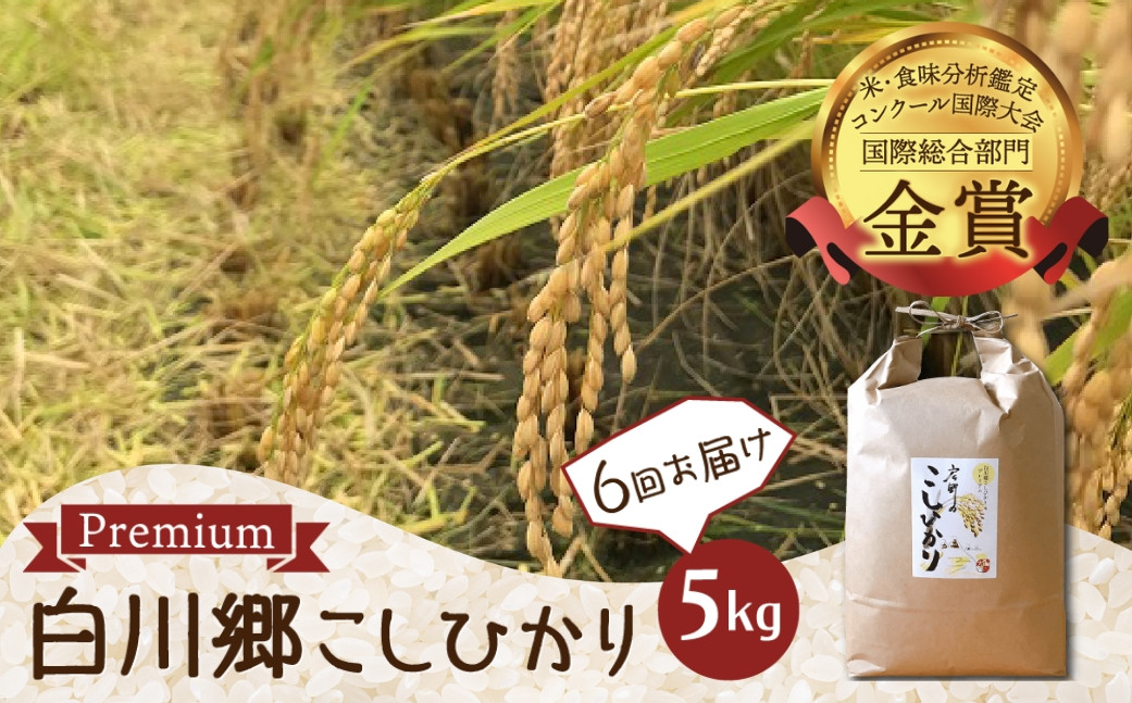 
                  【令和8年産 先行予約】定期便 6回 白川郷 戸ヶ野のこしひかりプレミアム 5kg×6回 精米 コシヒカリ 大田ファーム【2026年11月より発送】[S365]
                