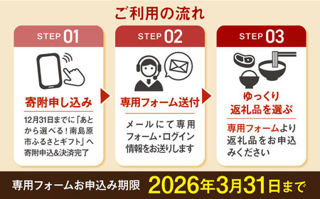 【あとから選べる】南島原市 ふるさとギフト 100万円分 / 寄付 あとから寄附 あとからギフト あとからセレクト あとからチョイス あとから選べる 長崎県 駆け込み寄附 後から選べる 後から選べるギ