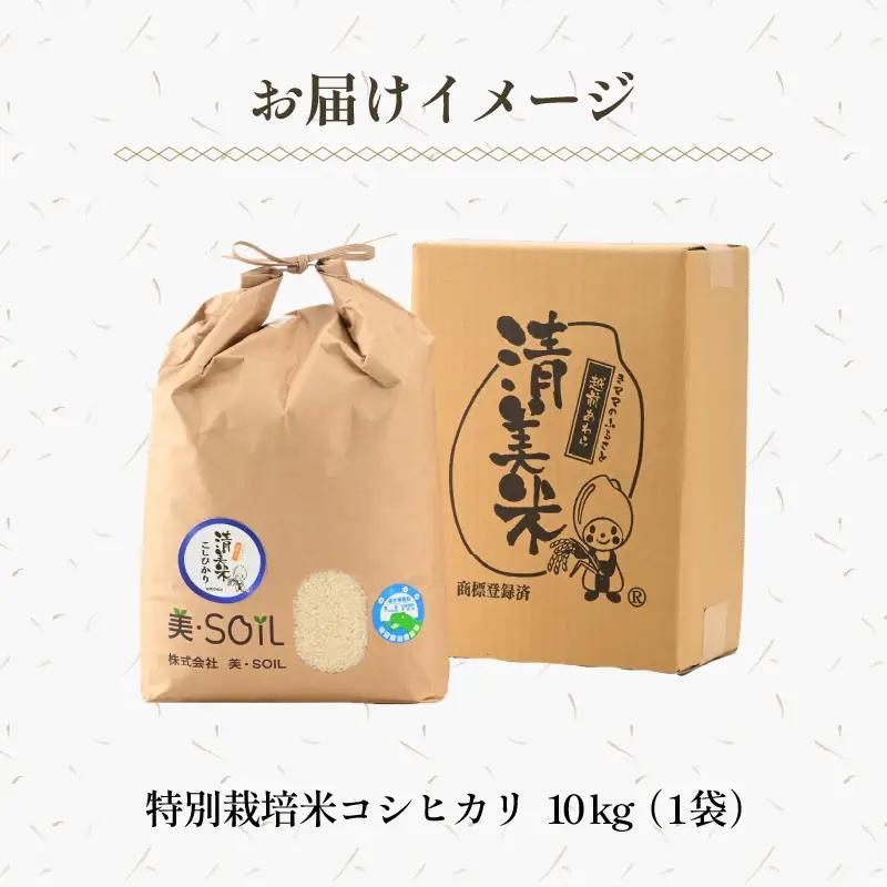 【先行予約】【令和8年産 新米】特別栽培米 コシヒカリ 10kg 低農薬 《食味値85点以上！こだわり極上米》 / 福井県 あわら 北陸 米 お米 人気 高品質 鮮度抜群 新米 ※2026年9月上旬よ