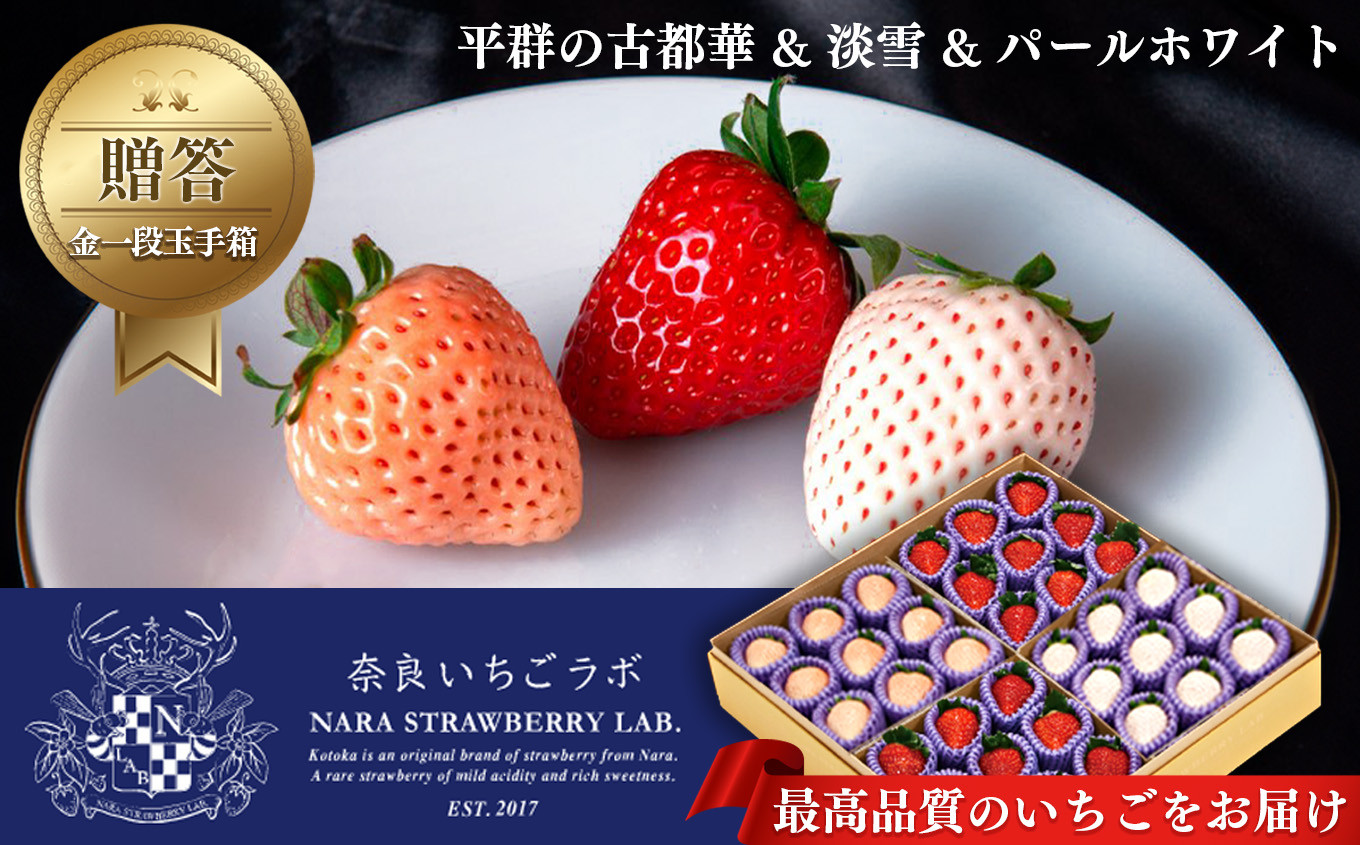 
            【贈答】平群の古都華 & 淡雪 & パールホワイト 金一段玉手箱 計36粒  | フルーツ果物 くだもの いちご 苺 イチゴストロベリー 古都華旬 淡雪  パールホワイト  豪華 セット 奈良県 平群町
          