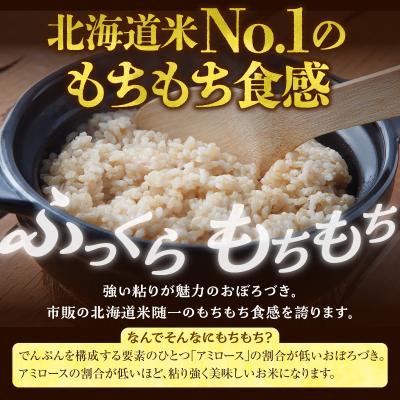 ふるさと納税 雨竜町 【定期便全6回】 令和8年産 川越さんちの おぼろづき 玄米 5kg×1袋 毎月1回お届け |  | 01