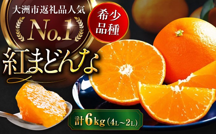 
            【先行予約】【11月下旬から順次発送】 愛媛県限定栽培みかん！ 紅まどんな 約6kg（4L〜2Lサイズ 8〜12玉入 計3kg×2箱）化粧箱入 みかん 6kg 紅マドンナ愛媛県大洲市/愛媛たいき農業協同組合 [AGAO016]
          
