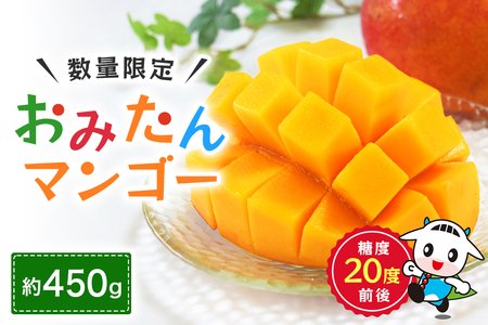 【数量期間・季節限定】 『グッド！モーニング』で紹介 おみたんマンゴー約450g 数量限定 期間限定 先行予約 完熟 マンゴー 国産フルーツ 果物 くだもの 【7月20日～8月末まで順次発送予定】 19-D