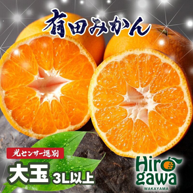 【ふるさと納税】 こだわりの 有田みかん 7.5kg 10kg (3Lサイズ以上) 10000円 家庭用 光センサー選別 有機質肥料100％ ※11月中旬～12月下旬に順次発送 ※北海道・沖縄・離島への配送不可 / 温州みかん みかん 柑橘 果物 フルーツ //mandarin