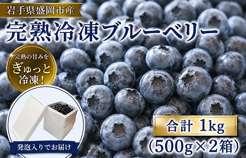 
                  完熟 大粒 ブルーベリー 1kg(500g×2) 冷凍 詰め合わせ 完熟 果汁 甘 酸味 人気 果物類 ブルーベリー フルーツ ベリー ヘルシー フレシュ ジューシー 果実 果汁 加工 美味しい 国産 産地直送 お取り寄せ 贈り物 ギフト 贈答 贈答用 贈り物 プレゼント 夏 秋 季節  岩手県 盛岡市 東北 岩手 盛岡 北田りんご園 kitada001
                
