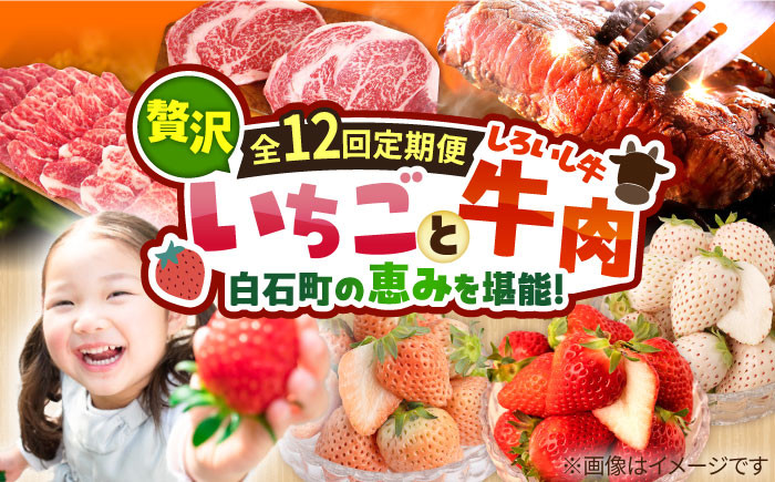 
【先行予約】【12回定期便】産地直送！白石町産 いちごと牛肉の贅沢定期便 [IZZ010]
