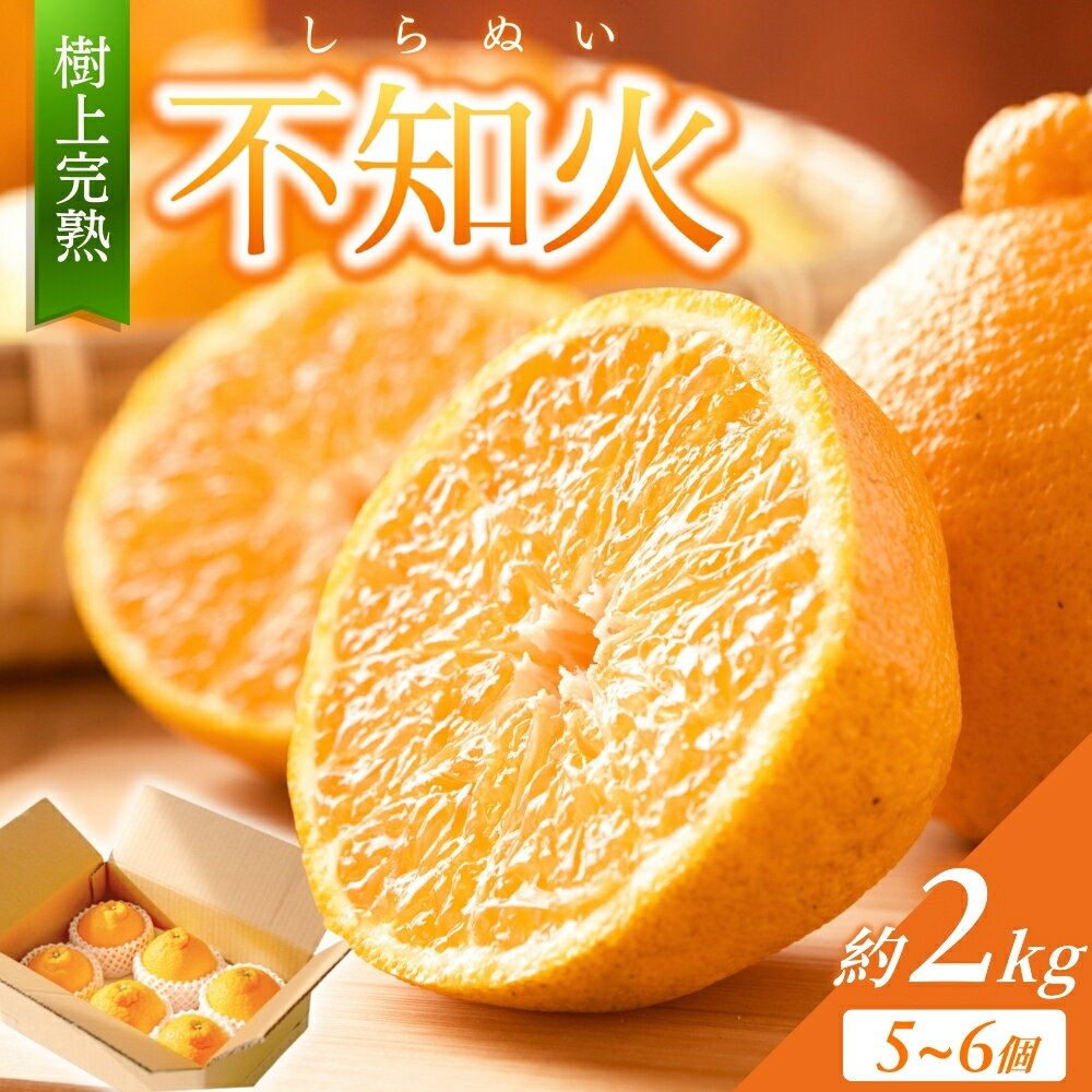 【ふるさと納税】【限定】 不知火 樹上完熟 約2kg （5～6個入）【2026年2月中旬頃から発送】 / 不知火 しらぬい デコポン みかん 柑橘 和歌山 かつらぎ 家庭用 甘い 【KG6】