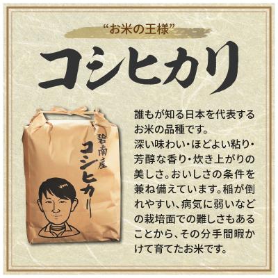 ふるさと納税 碧南市 【潮かぶり米】令和6年産 あいちのかおり&コシヒカリ2品種 食べ比べ10kg　H073-007 |  | 01