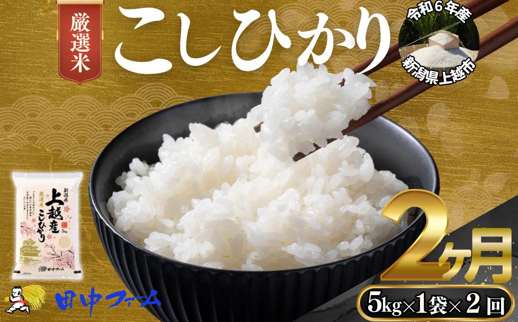 
            上越市産 新潟 特別米コシヒカリ　5kg 2か月定期便  上越市 精米 米 コメ こしひかり ブランド米
          