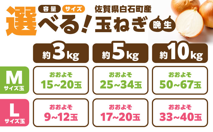 【選べる容量・サイズ】【やさしい玉ねぎ】白石産玉ねぎ 約10kg（Mサイズ）【川崎ファーム】 [IDQ005] Mサイズ×10kg